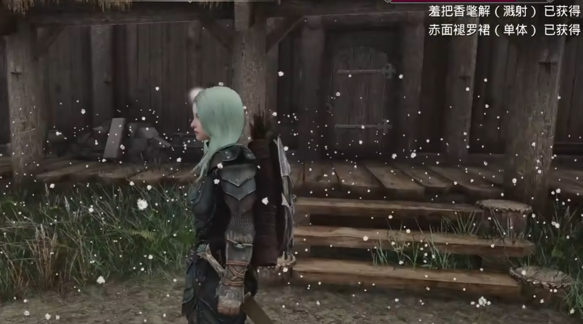 上古卷轴5闪退什么原因 上古卷轴5闪退怎么解决截图