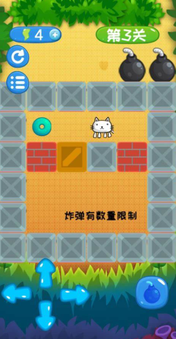 推箱子大挑战游戏介绍2025 热门推箱子大挑战游戏指引截图