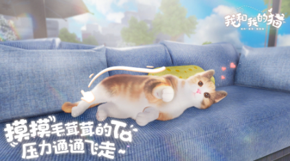 一个屋子里养猫的游戏盘点