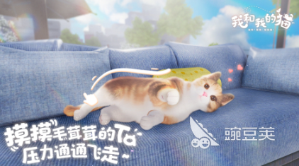 养猫游戏分享 2025火爆的室内养猫模拟游戏介绍截图