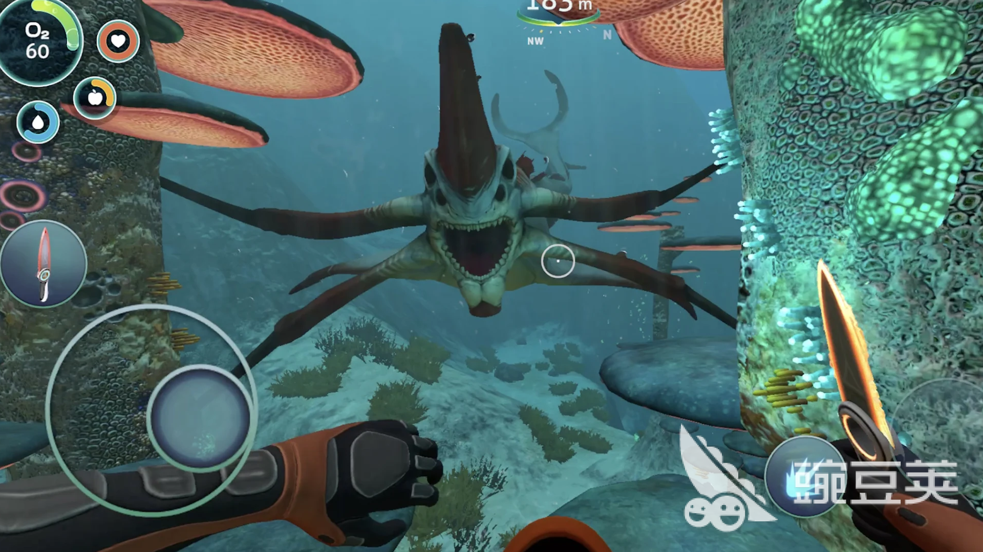 大鱼吃小鱼不用网络版游戏分享 2025榜单3大鱼吃小鱼单机游戏before_1截图