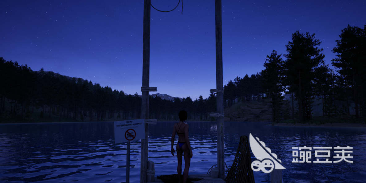 森林之子加速器分享:高性价比、稳定低延迟的实用加速工具对比