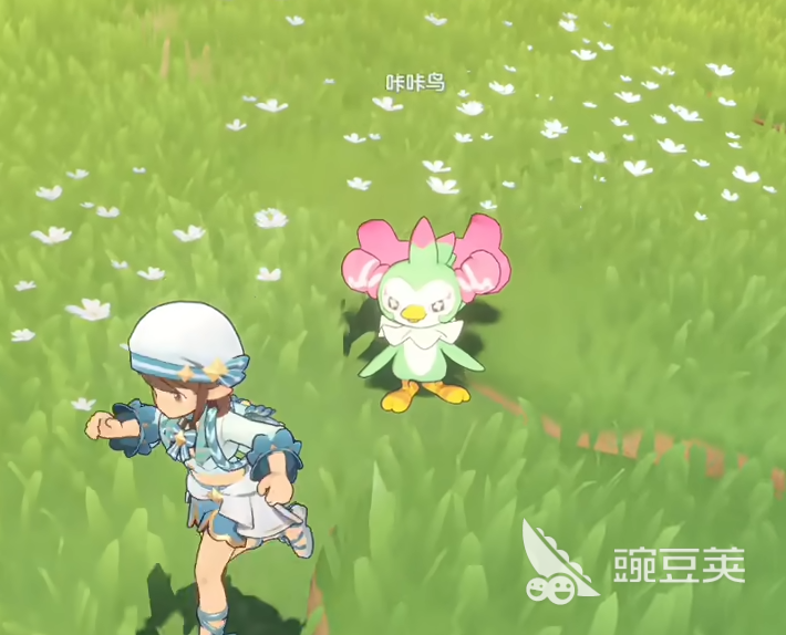 洛克王国世界咔咔鸟位置分布与获取方法详解截图