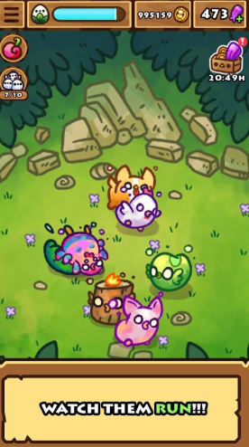 小鸡游戏app去哪里下载