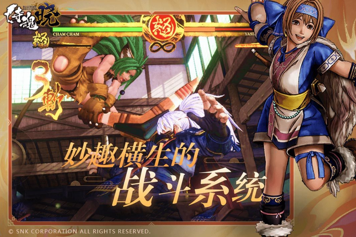 相似双截龙游戏不用网络有哪几款 2025耐玩的单机格斗手游安卓下载推荐截图