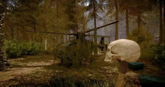 森林之子配置要求是什么 森林之子配置要求指引截图