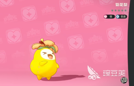 洛克王国菊花梨配招分享与实战操作技巧详解