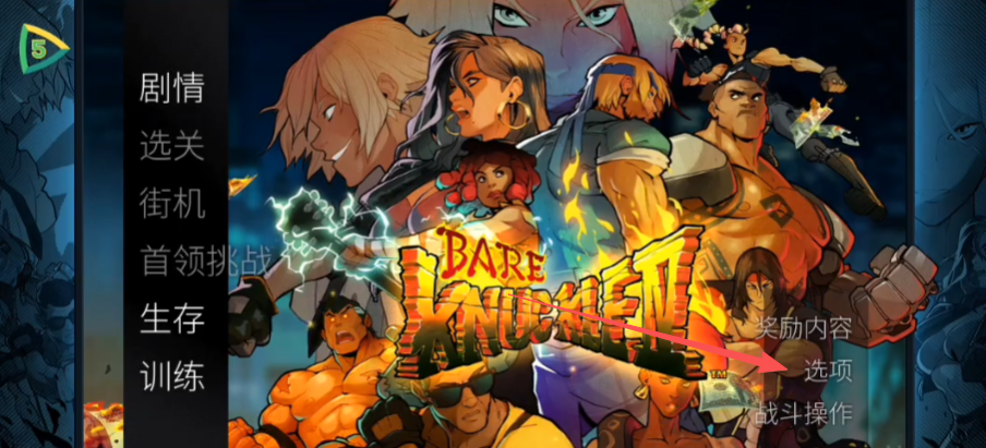 怒之铁拳4掉帧怎么办 怒之铁拳4掉帧解决方法推荐​截图