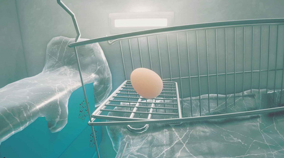 免费的鸡蛋游戏在哪里下载