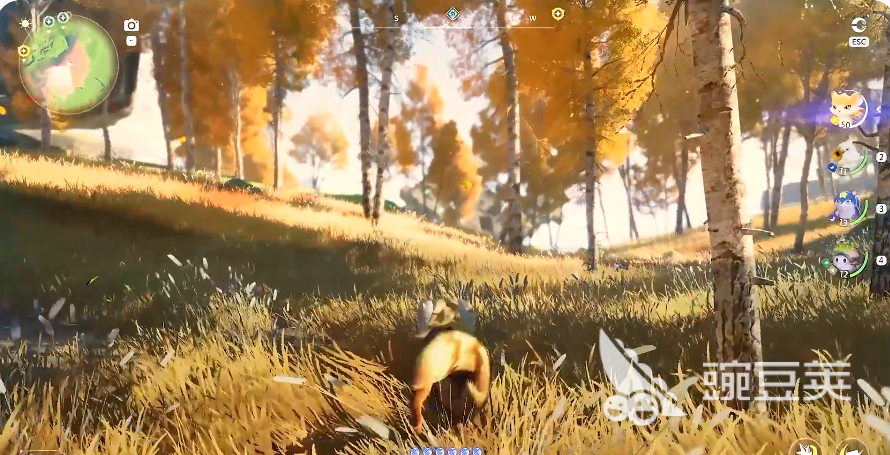 伊莫游戏手机版日耀狮宠物盘点 伊莫手游日耀狮强度分析与实战表现截图