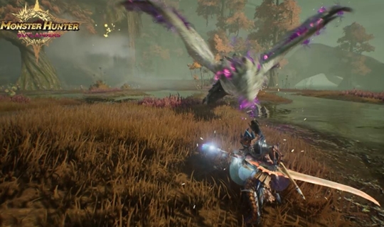 怪物猎人旅人国服有中文吗 怪物猎人旅人国服游戏盘点 