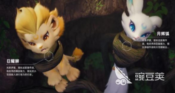 伊莫宠物二选一教程 伊莫宠物选择指南与实用对比分析截图