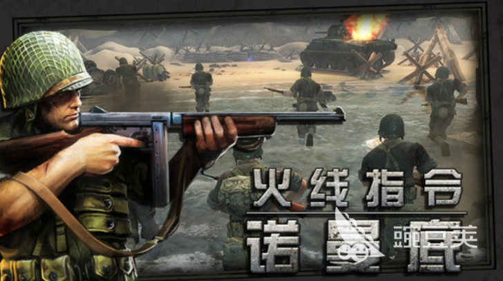 2025年火爆的诺曼底登陆题材二战游戏分享与下载指南截图