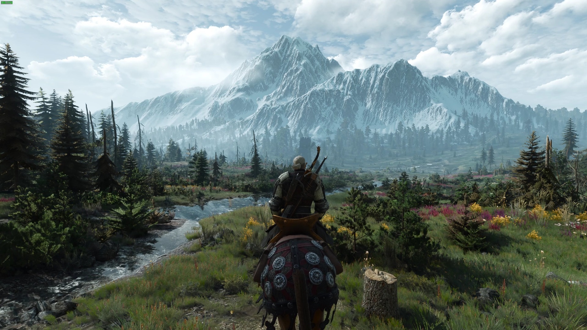 巫师3掉帧解决方法有哪几款 巫师3掉帧解决方法推荐截图