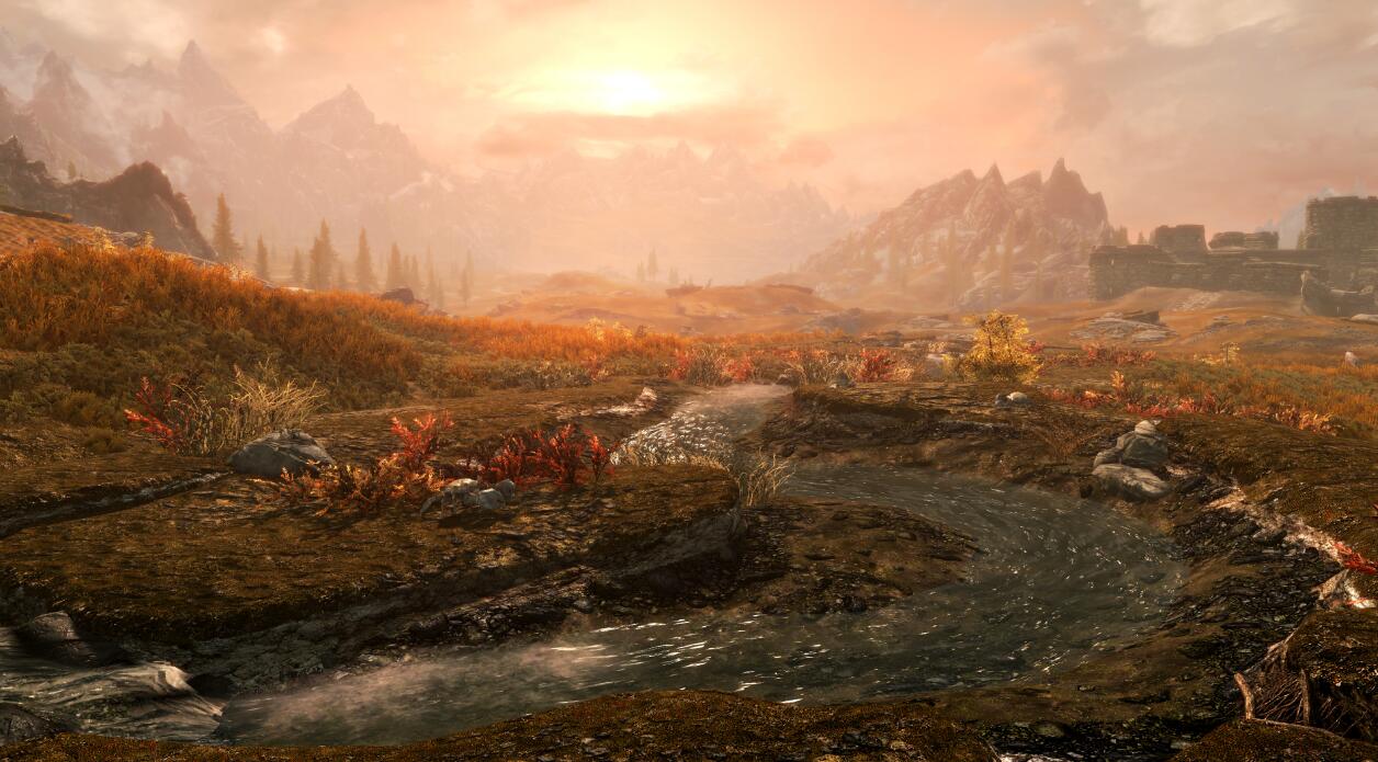 上古卷轴5突然掉帧怎么解决 上古卷轴5突然掉帧怎么办截图