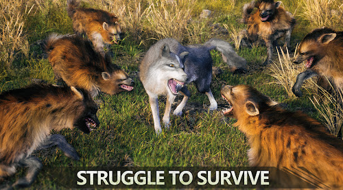 羊和狼的游戏叫啥 2025有意思的狼羊游戏分享截图