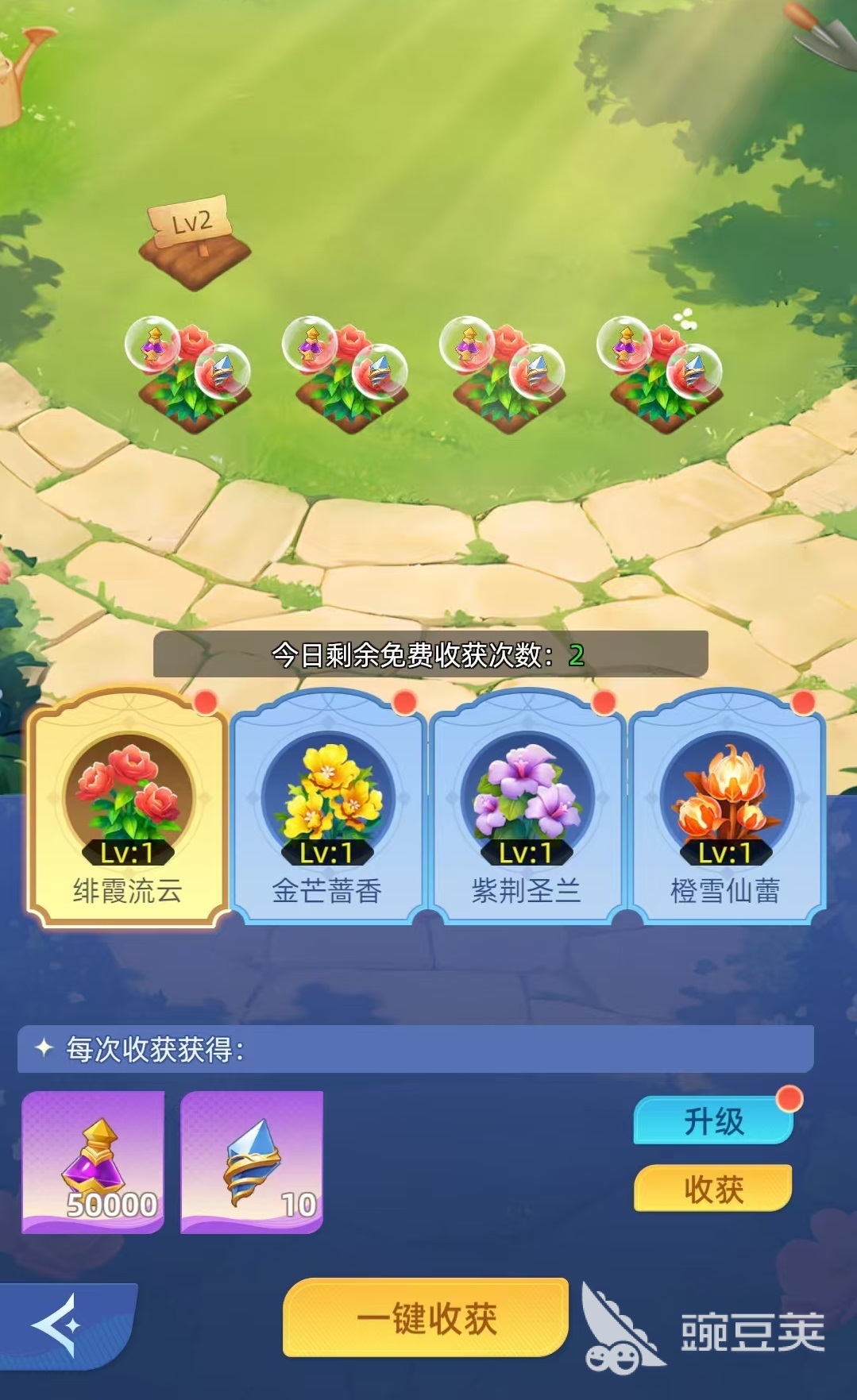 神召大陆花语仙境怎么玩 神召大陆花语仙境新手入门与全玩法教程截图