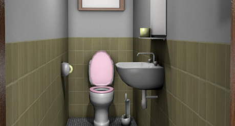 流行的厕所游戏有哪几款 2025有趣的厕所游戏手机版排名