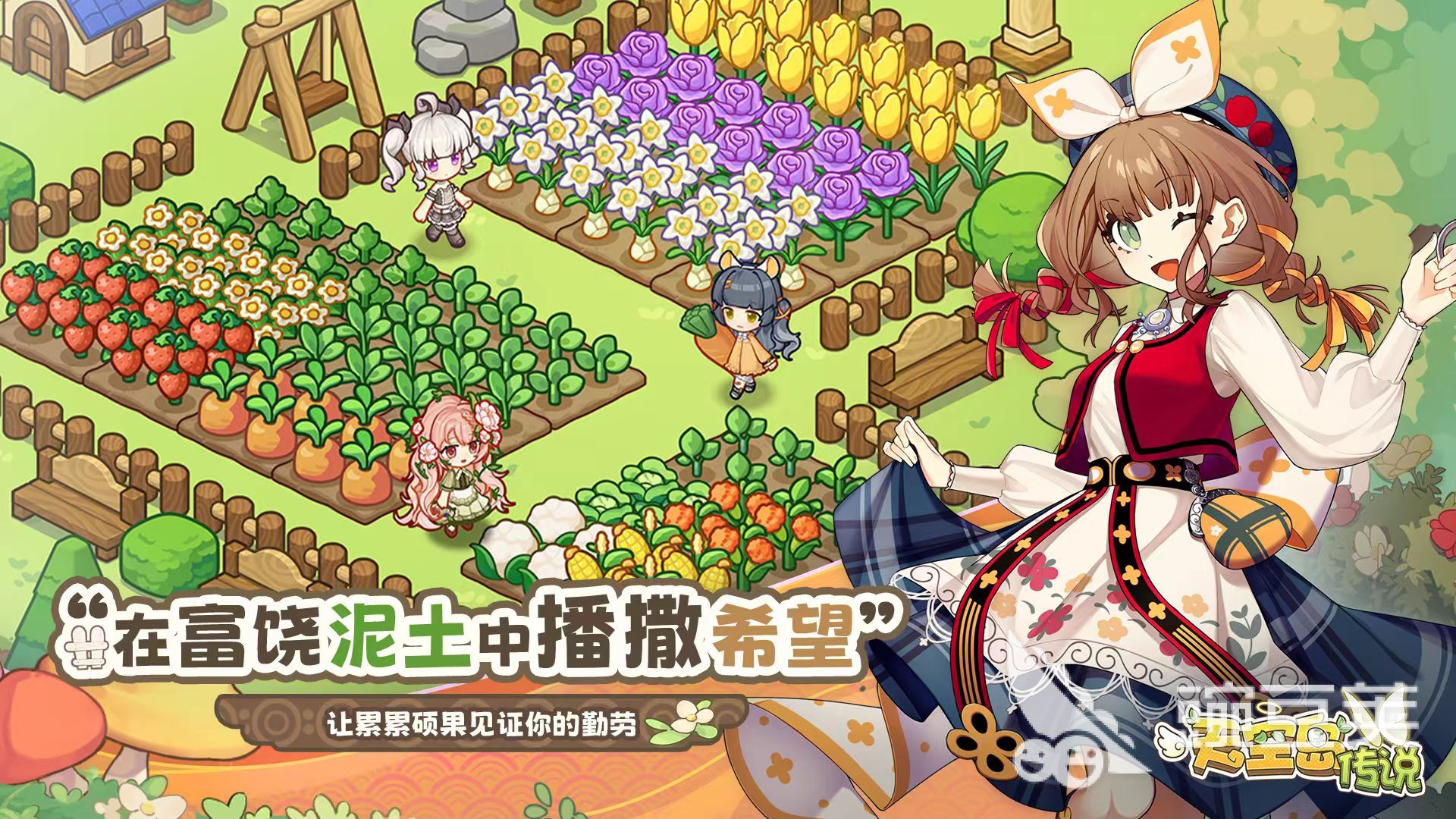 天空岛传说好玩吗 天空岛传说核心玩法与特色系统详解截图