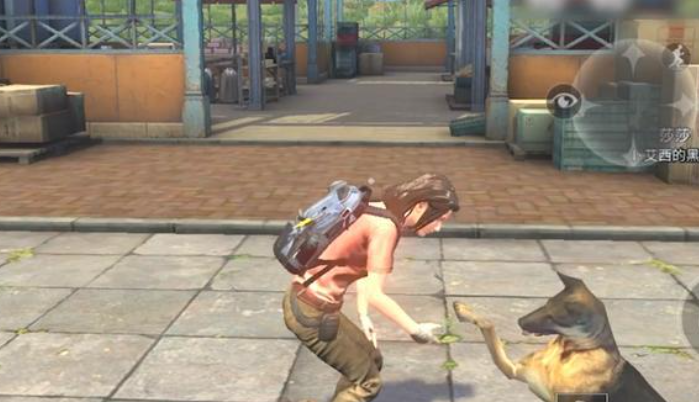 2026最受欢迎的辐射类手游有哪些