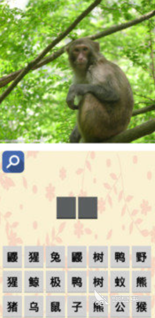 2026人气最高的猜动物游戏分享：趣味性强、适合全年龄段的精选榜单