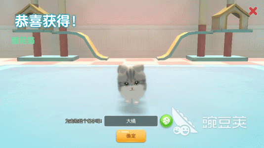 2026火爆的逗猫手机游戏分享：真实互动感强的猫咪陪伴游戏大介绍