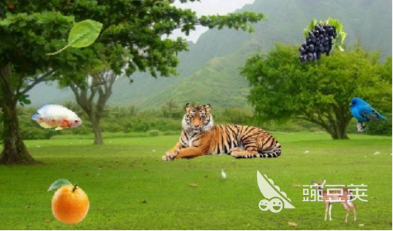 2026不用钱儿童益智游戏手机版分享：提升专注力、逻辑思维与创造力的优质游戏