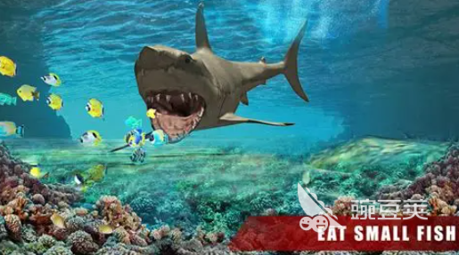 食人鱼游戏分享2026 高人气高口碑的食人鱼题材游戏手机版与不用网络游戏汇总截图