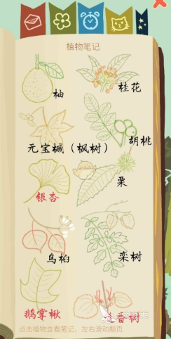 种树游戏分享2026 好玩又治愈的种树类游戏手机版榜单合集截图