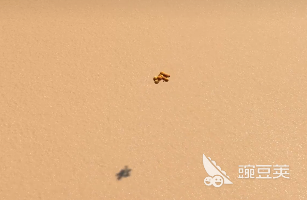 沙石镇时光大涂鱼钓鱼位置指南：具体坐标与最佳垂钓点