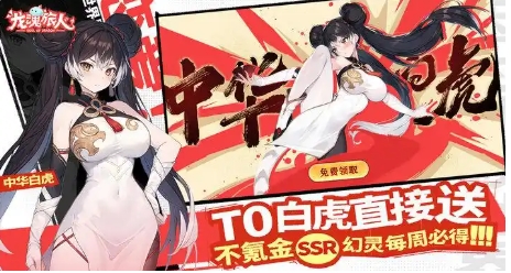 龙魂旅人白虎阵容搭配攻略 龙魂旅人白虎阵容如何搭配