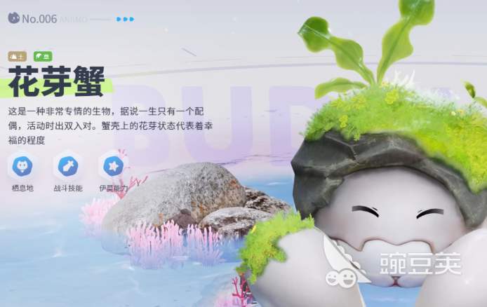 伊莫花芽蟹形态特征详解 伊莫花芽蟹外形结构与生物习性分析截图