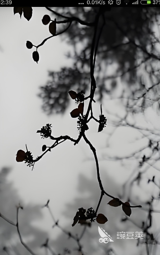 2026火爆的国产地图拼图游戏榜单分享：益智趣味双体验截图