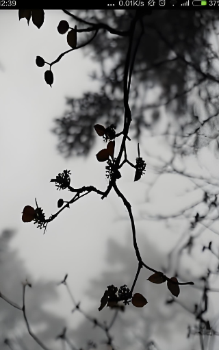 国产地图拼图游戏榜单下载 2026必玩的中国地图拼图游戏推荐截图