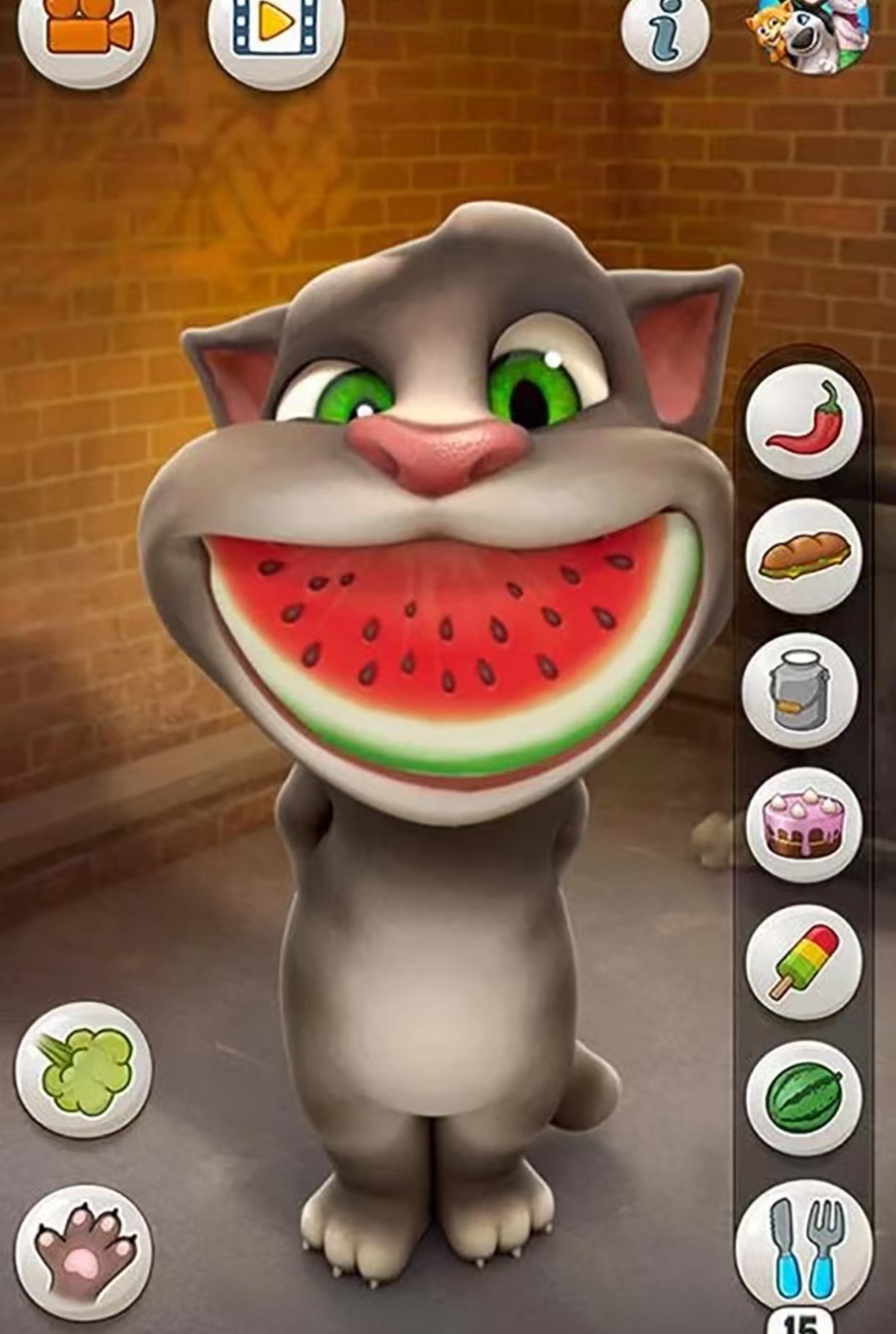 会说话的汤姆猫游戏都有哪些