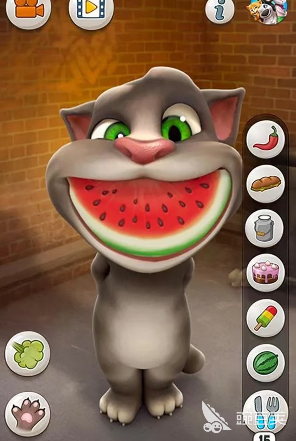 值得下载的会说话的汤姆猫系列游戏手机版分享合辑