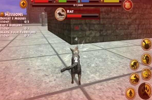 受欢迎的野猫游戏有哪几款 2026有趣的野猫游戏下载介绍截图