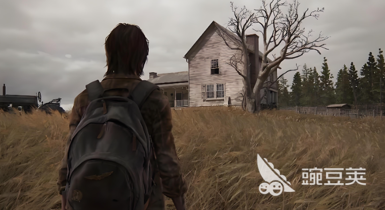 《最后生还者2》闪退问题全面解决指南：从原因分析到实操修复步骤