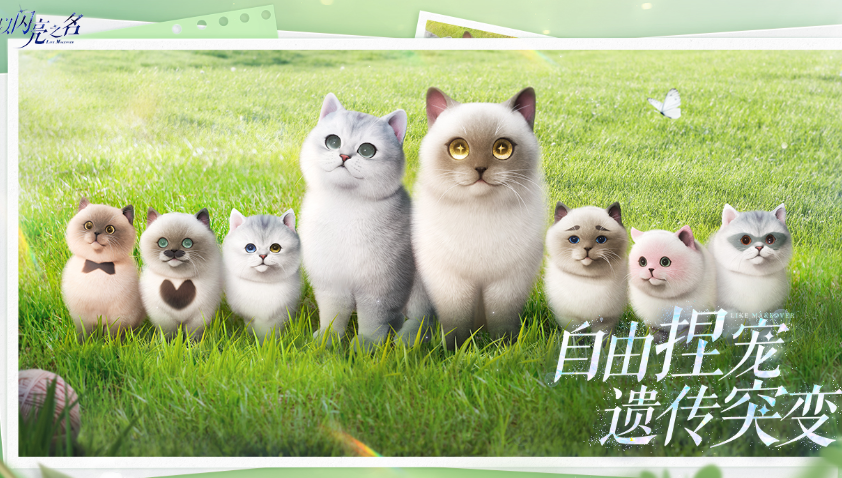 高人气女生游戏哪里下载 2026受欢迎的女生游戏手机版排名截图