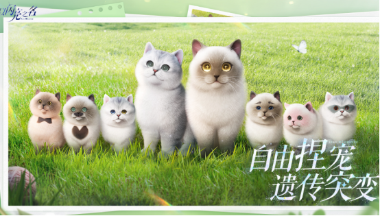 高人气女生游戏哪里下载