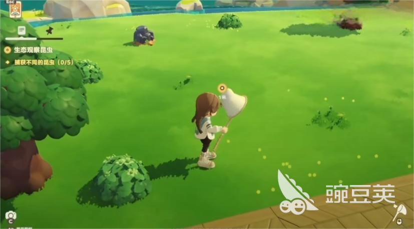 星布谷地抓蝴蝶教程 星布谷地蝴蝶捕捉技巧与高效方法截图