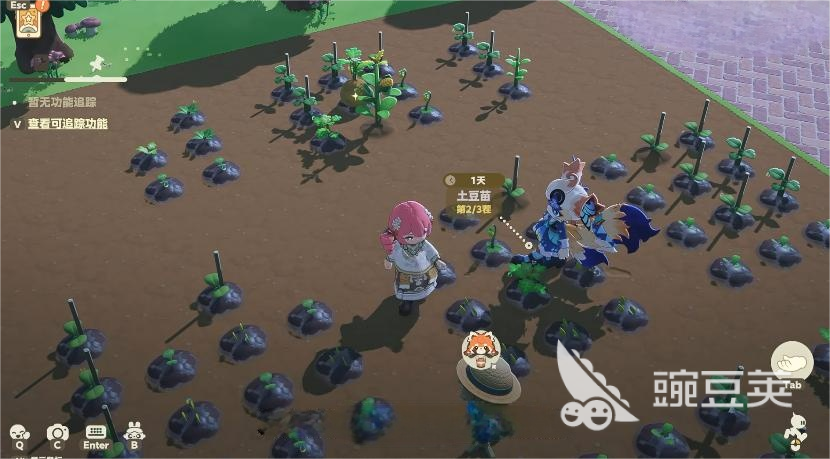 星布谷地好玩吗 星布谷地新手入门指南与趣味玩法分享截图