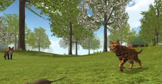 野猫游戏哪些值得玩2026