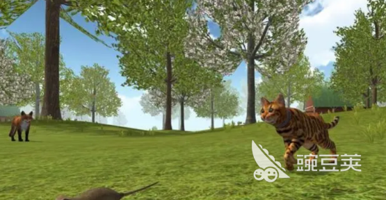 2026年火爆的野猫题材游戏分享：高人气、好玩又经典的野猫游戏榜单