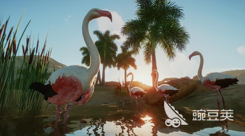 动物园之星闪退卡顿怎么办？全面解决游戏崩溃与运行不流畅问题