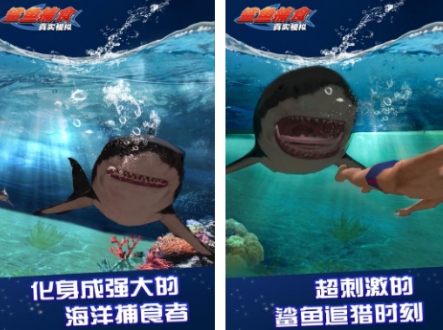 耐玩的鲨鱼游戏大全