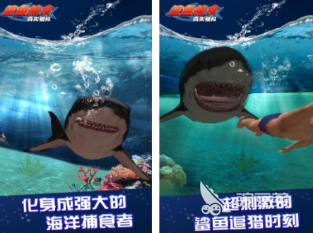 经典的鲨鱼游戏合辑 2026火爆的高评分鲨鱼题材游戏手机版分享截图