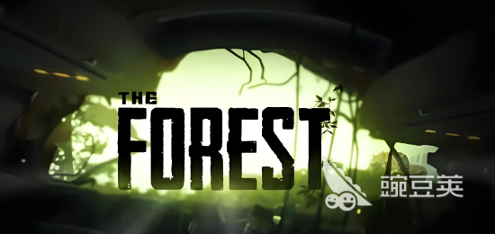 森林之子联机闪退问题全面解决方案