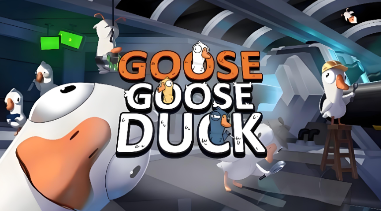 鹅鸭杀加速器用什么 稳定可靠的鹅鸭杀加速器分享截图