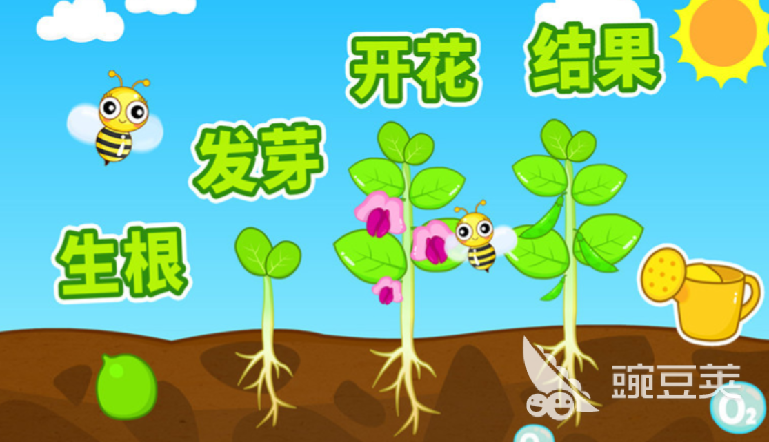 适合8-12岁孩子的趣味亲子游戏分享（可下载）